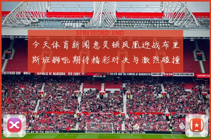 今天体育新闻惠灵顿凤凰迎战布里斯班狮吼期待精彩对决与激烈碰撞
